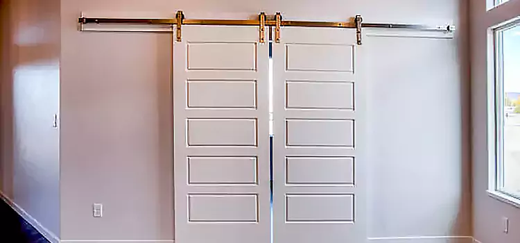 Glass Barn Door with Installation Hardware Kit Modesto