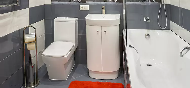 Hansgrohe Shaving Mirror Modesto